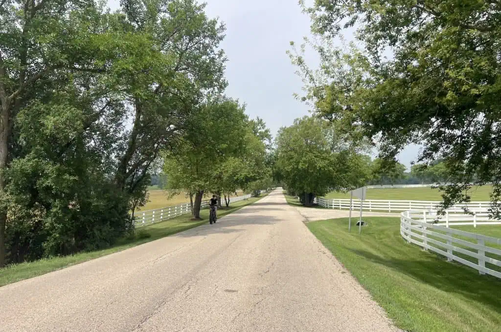 A road runs by white-fenced horse farms lined by tall trees.