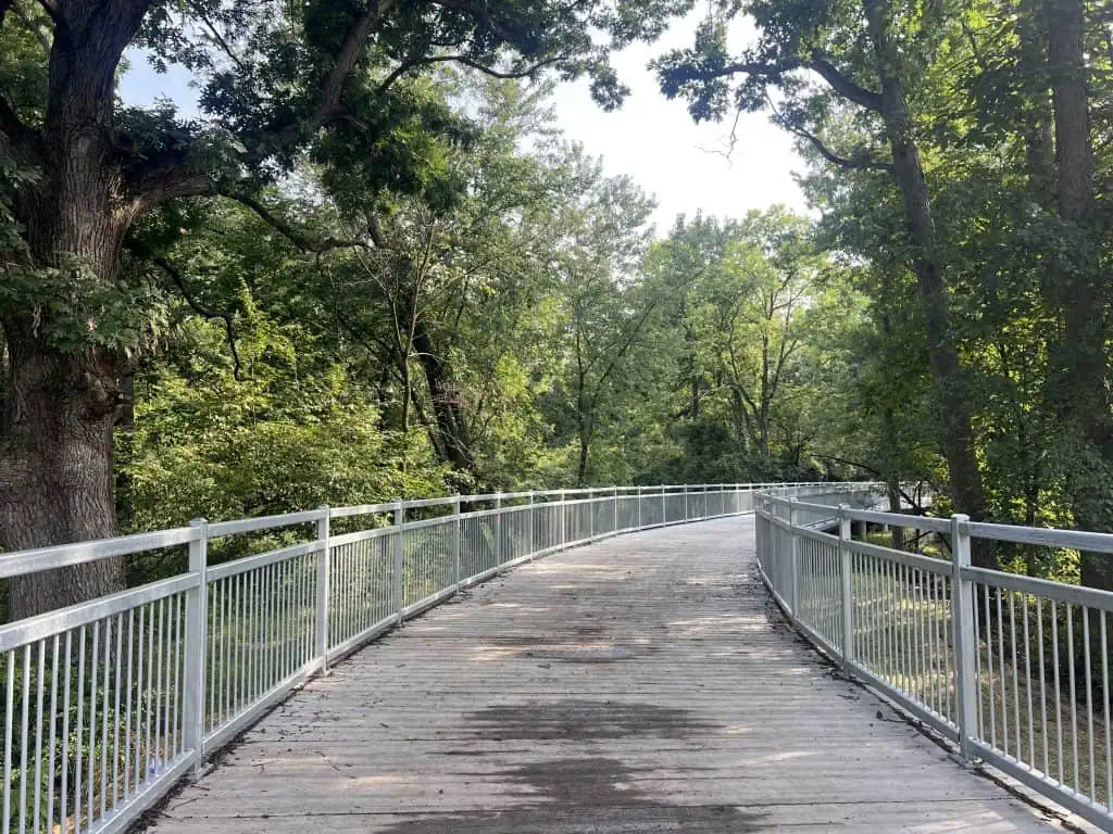 Scenic wooden pathway through lush green forest in suburban Chicago.