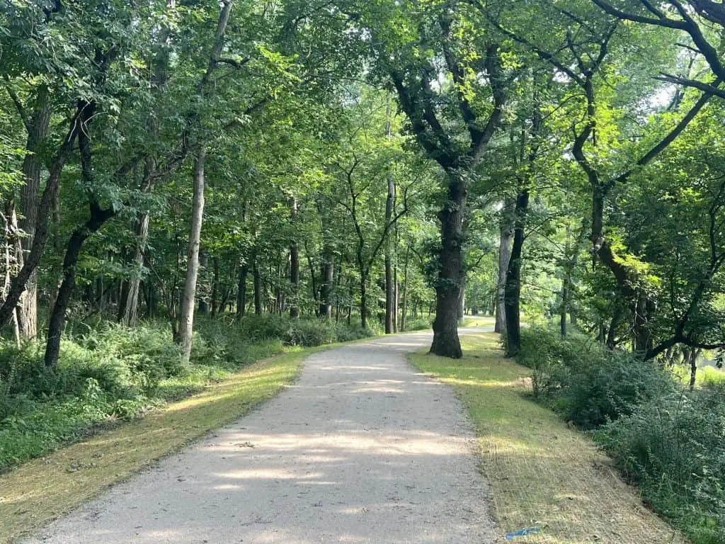 Scenic forest trail in suburban Chicago for cycling and outdoor recreation.
